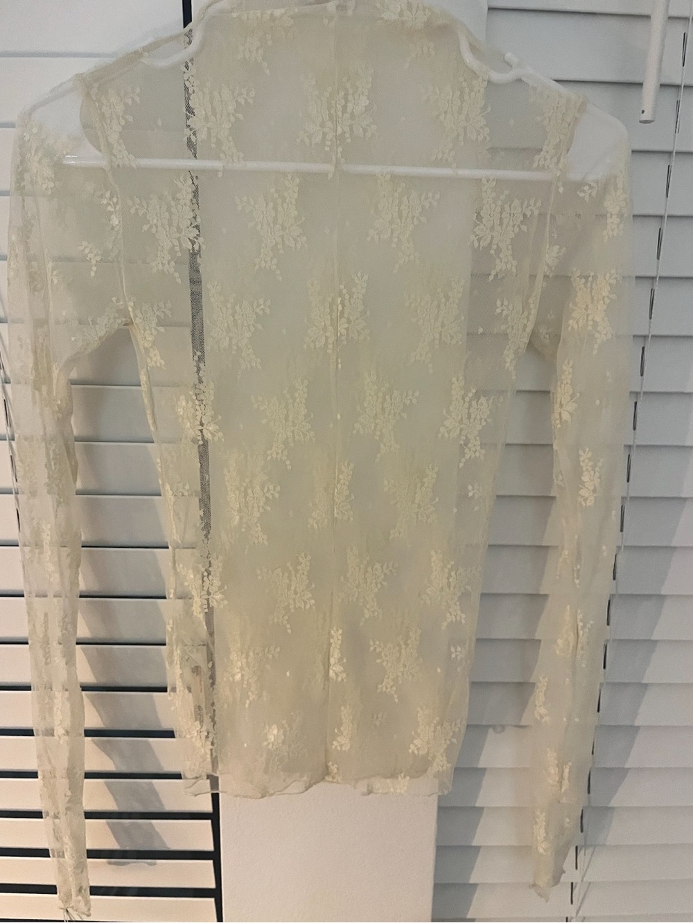 Free People Sheer Lace Long-Sleeve Top in Cream
